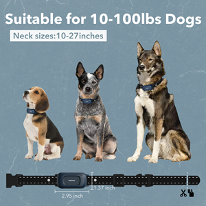 Patpet Entrenador de Perros Inteligente Ajustable, Collar de Entrenamiento con Control Remoto Ipx7 a Prueba de Agua, 3 Modos, 2000 Pies - Product Image 4
