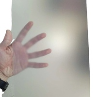 Film de verre PETG gaufré personnalisé 1mm mat 0.04 pouces pour fenêtres portes 20mm d'épaisseur impression UV traitement de découpe par thermoformage