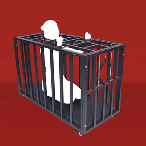 BANSEY Cage de bondage roulante SM avec appui-tête, Port Panca sottomissione, Fesselstuhl, Cage de bondage pour adultes - Product Image 6