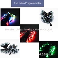 DC12V 12mm RGB a todo Color LED Pixel Cadena de luces WS2811 Cadena de luces de Navidad Perforado IP65 Lámpara de plástico Iluminación de punto del cuerpo