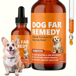 Compléments alimentaires OEM/ODM pour la santé du côlon des animaux de compagnie, chiens et chats, soutien ciblé du tractus gastro-intestinal inférieur - Product Image 3