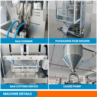 Machine d'emballage automatique à double voie pour sachets de pâte de sauce Poria Cocos, liquides visqueux, pâte de poire d'automne, pâte de myrtille et miel