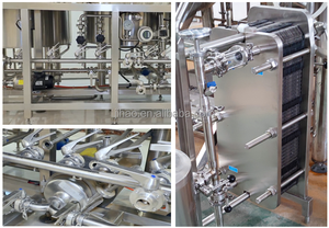 Equipo de Cervecería de Acero Inoxidable de 200L-300L, Sistema de Elaboración de Cerveza de Doble Recipiente para Uso en Bares, en Venta - Product Image 6