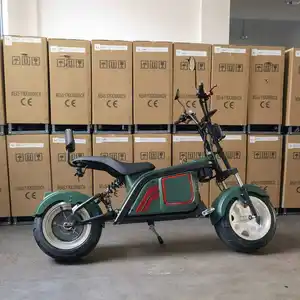 Ab depo Hulk F2 Pro İngiltere abd ab avrupa depo yetişkin hızlı 60Km 2000W iki 2 tekerlekler 10 inç katlanabilir elektrikli scooter Tur
