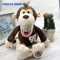 Modelo de Dientes de Plástico Estándar para Aprendizaje, Dientes de Demostración Suaves para Niños, Cepillo de Dientes de Juguete, Regalos para Dentistas