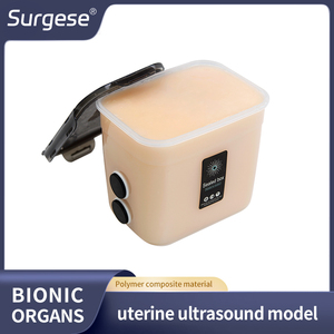 Modello Compatto per Addestramento ad Anatomia dell'Utero con Ultrasuoni, Simulatore Ginecologico con Ovario e Tromba di Fallope Inclusi - Product Image 2