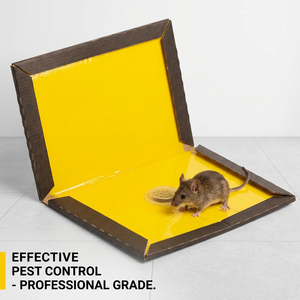Piège à <span class=keywords><strong>souris</strong></span> collant ultra-résistant en carton avec super colle non toxique pour le contrôle des rongeurs, faible MOQ, personnalisation OEM - Product Image 2