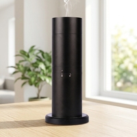 Diffuseur d'air automatique intelligent et silencieux pour hôtel et maison avec télécommande WiFi, parfum mixte, modèle AM230