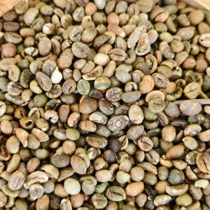A A Plus 95 To 99% Purity Vietnam Robusta Green Coffee <b>Beans</b> 60kg Jute PP Bulk <b>Bags</b> Non Additional Ingredient - Product Image 1
