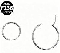 Boucles d'oreilles clous Getta G23 en alliage de titane, grand style hyperbole, cadeau unisexe