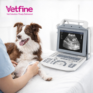 Ecografo Portatile Veterinario B&N a Prezzo di Fabbrica, Schermo LED da 12 Pollici, Scanner Ecografico per Veterinaria - Product Image 1