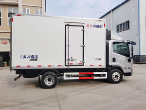FAW <span class=keywords><strong>ตู้</strong></span><span class=keywords><strong>แช่</strong></span>แข็ง<span class=keywords><strong>มือ</strong></span>จับ<span class=keywords><strong>ประตู</strong></span>หลัง Camion frigorifique สำหรับไอศกรีมผลไม้เนื้อ - Product Image 5