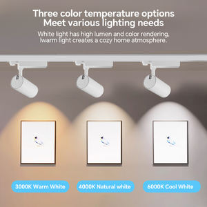 Luminaires sur <span class=keywords><strong>rail</strong></span> à LED Aluminium forgé à froid 4000K Noir Hôtel <span class=keywords><strong>Magasin</strong></span> de vêtements Salon Systèmes d'éclairage sur <span class=keywords><strong>rail</strong></span> modulaires <span class=keywords><strong>Spot</strong></span> sur <span class=keywords><strong>rail</strong></span> - Product Image 3