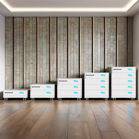 Madsun Système ESS 25kwh 15kwh 10kwh Stockage domestique batterie lifepo4 48V 51.2V 200AH 500AH 300Ah