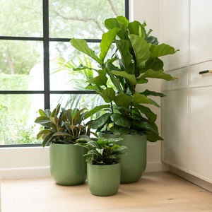 Macetas de Fibra de Vidrio Elegantes y Lisas de Simply Fiber, Macetas Elegantes para Uso en Exteriores - Product Image 2