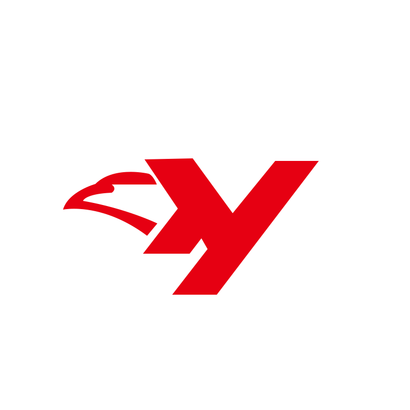 Changzhou Xingyou Vehicle Parts Co., Ltd. logo