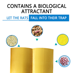 Pièges collants jaunes imperméables jetables pour tiques, serre intérieure/extérieure, 10*25cm, avec logo personnalisé, 50 pièces - Product Image 2