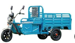 Tricycle électrique à trois roues populaire et sûr, 60V 1000W, avec carrosserie ouverte, siège 2 places, charge utile de 100-200 kg et vitesse de 30-50 km/h - Product Image 4