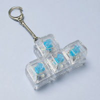 Porte-clés anti-stress transparent en acrylique PC avec interrupteur de clavier mécanique et testeur de touches