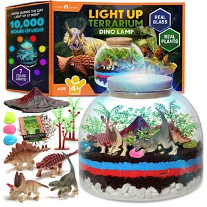 Kit Terrario in Vetro Ecologico Illuminato con Design Dinosauro Fai-da-Te per Scrivania, Prodotto Localmente - Product Image 1