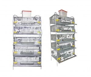 Equipo Comercial de 5 Niveles Tipo H para Alimentación de Codornices y Gallinas Ponedoras, Maquinaria Agrícola, Piezas de 40 kg, 1 Año de Garantía - Product Image 2