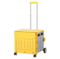 Chariots pliants en plastique de 45 L avec roues pour le camping