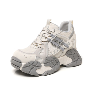 Women's Chunky Soled Sneakers 2026 Spring New Arrivals Versatile Sneakers with Film Coated Soles Casual Fashionable Shoes - Product Image 2