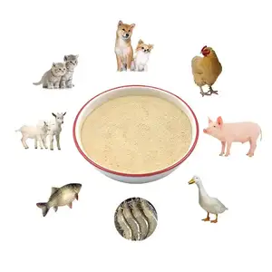 Mangime per pollame economico e di alta qualità mangime per animali pollo per polli da carne batteri probiotici Bacillus Subtilis