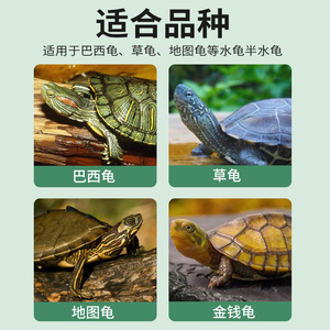 Alimento para Tortugas, Alto en Proteínas, Nutritivo, 1.0 kg, para Tortugas Juveniles, Tortugas Caimán, Tortugas Amarillas con Borde Amarillo, Tortugas de Caja - Product Image 5