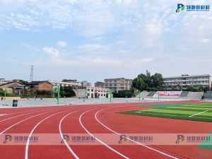 INOLP Pista de correr permeable al aire con textura 3D de alta tracción Superficie de grado profesional para Sprint y salto de longitud - Product Image 5