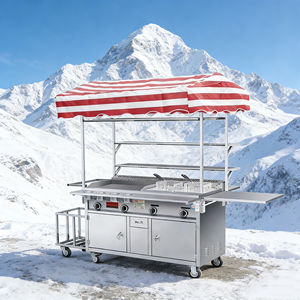 Carrito de Comida Móvil para Exteriores de Acero Inoxidable, 4 Ruedas, Convertible, Resistente a la Oxidación, con Calentador y Parrilla Integrados, 2 Años de Garantía - Product Image 2