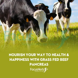 FocusHerb Livraison rapide 100% Vache nourrie à l'herbe OX Bovine 500MG Capsules de pancréas de boeuf - Product Image 3