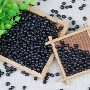 Pure Natural Green Additive-free Small Black Beans Cheap Sold Wholesale In Large Quantities