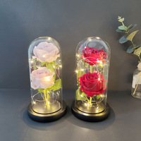 Nouveau design La Belle et la Bête Rose Roses éternelles conservées en gros avec lumières LED dans un dôme en verre à vendre