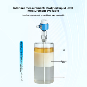 Instrument de mesure de niveau capacitif série FMI E+H Endress+Hauser, instrument de mesure d'interface, original, industriel, fabriqué en Chine - Product Image 3