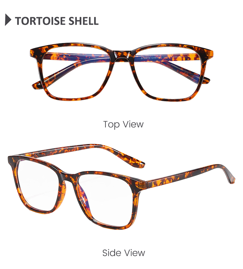 กระดองเต่า