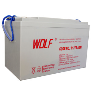 12V 150Ah 充電式ゴルフカートAGMゲルバッテリー T1275 Trojanディープサイクル鉛蓄電池 ABSケース グレー 長寿命 15～20年 - Product Image 2