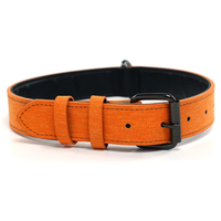 Collier de luxe en métal et cuir pour chien Aston Group avec photo et lettre personnalisées pour petits et grands chiens Accessoires pour animaux de compagnie