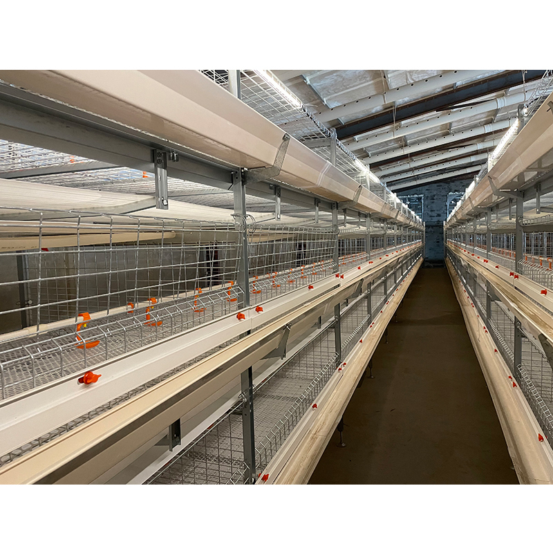 Best Sell Animal Cages H Type