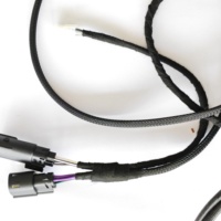 Câble de connecteur Molex personnalisé, câble Molex