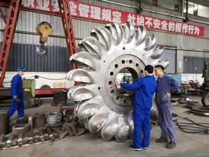 15 mw 수력 프랜시스 터빈 관 터빈 Pelton 터빈