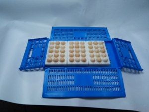 QS Hot Bán Nhựa Có Thể Gập Lại Giao Thông Vận Tải Trứng Thùng Di Chuyển Tote Hộp Đóng Mở Đóng Mở Container Thùng Đóng Mở Container - Product Image 5