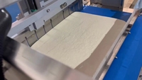 Wanli Group Machine de découpe ultrasonique de tofu de poisson Machines efficaces de traitement des aliments