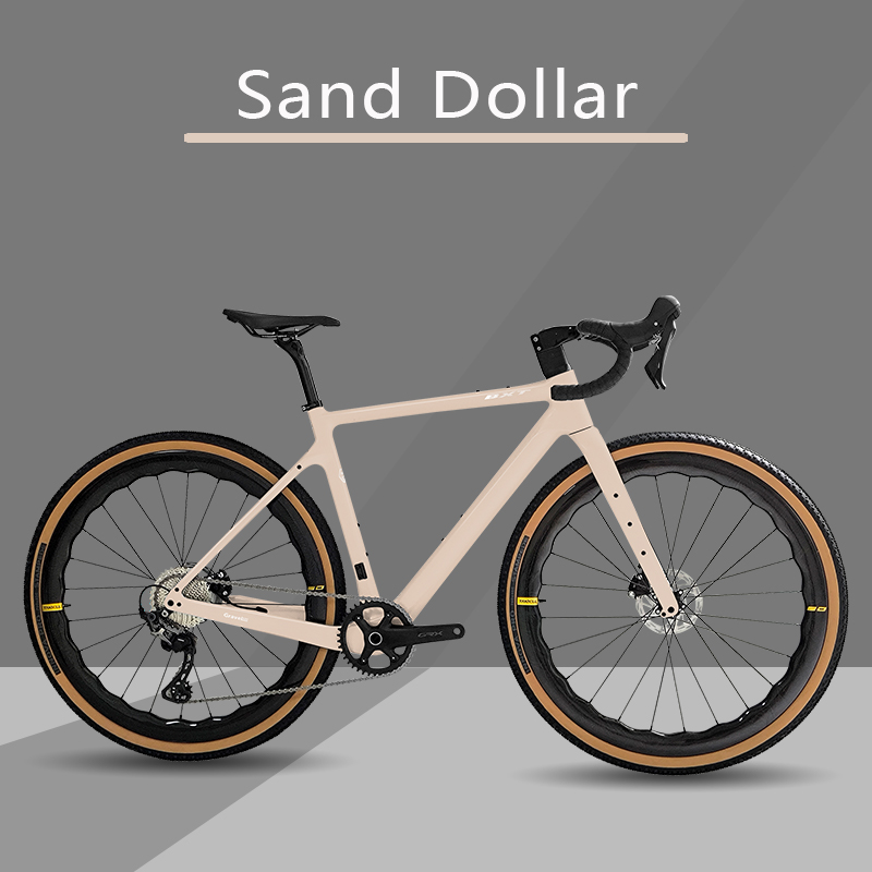 BXT Sand Dollar