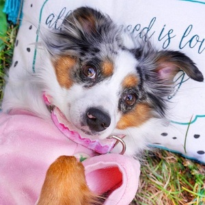 Talla M CatDog Fleece Jumpsuit Warm Winter Outfit para hembras Perros y Gatos-Velour Pink Dog Pijamas - Product Image 3