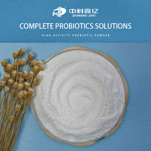 El polvo probiótico de calidad alimentaria altamente activo promueve la salud intestinal Lactobacillus rhamnosus - Product Image 3