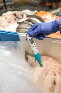 Medidor de <span class=keywords><strong>pH</strong></span> Testo 206-pH2 0563 2062 para meios semi-sólidos, alimentos viscosos e contendo proteínas - Product Image 4