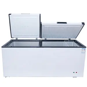 热卖AC/DC太阳能12v 24v 220v 110v胸冰柜太阳能深冰柜