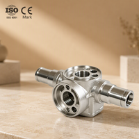 Vanne en acier inoxydable sur mesure |   Vanne OEM usinée CNC 5 axes pour systèmes mécaniques Classe 101 Moule Origine Shandong