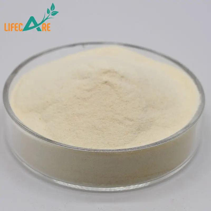 Lifecare fornisce estratto di frutta di monaco biologico in polvere per uso alimentare Luo Han Guo in polvere